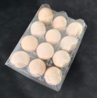 Plateau à œufs en plastique PET écologique et durable à 10 alvéoles, carton d'emballage transparent jetable pour œufs, promotion en gros pour les fermes avicoles