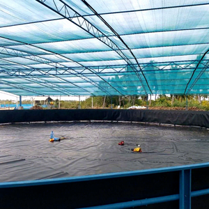 Bạt Nhựa Sinh Học HDPE Bể Nuôi Cá Tấm Lót Màng Địa Kỹ Thuật Ao Tròn - Product Image 3
