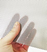 Grille de protection de radiateur en acier inoxydable, fer galvanisé, aluminium, grillage perforé pour gouttières anti-feuilles