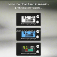 DC 8V-80V Indikator Kapasitas Baterai Digital Hanya Digital untuk Aki Asam Timbal Lithium LiFePO4 Voltmeter untuk Mobil Motor Tidak Tahan Air