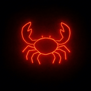 Lumière LED 2D de Noël en néon sur le thème de la vie marine avec contour coloré pour les décorations intérieures et extérieures - Product Image 1