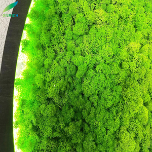 Mousse verte LED Lustre Lumière Intérieure Émettant Son Absorbable Combinaison Anneau Cercle Verseau Pendentif Acoustique pour Usage Bureau - Product Image 2