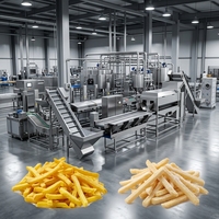 Machine de fabrication de frites surgelées durables, friteuse à faible consommation d'huile, ensemble de friteuses haute efficacité pour usine de transformation de pommes de terre