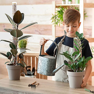 Hot <strong>Sale</strong> 40*170mm Translucent <strong>Moss</strong> Poles Stackable Plastic Plant Pole Plant Sticks <strong>Sphagnum</strong> <strong>Moss</strong> Pole <strong>for</strong> Climbing Plant Support - Product Image 4