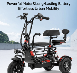 Triciclo Casual Modelo Y3 de 600W y 48V con Batería de Litio y Marco de Acero para Exportación Transfronteriza; Fábrica Directa en China OEM/ODM Y3 600W Moto - Product Image 2