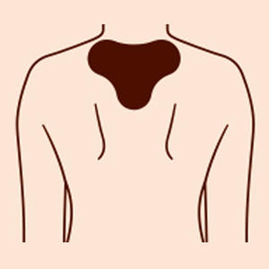 Precio <span class=keywords><strong>de</strong></span> fábrica Suplemento <span class=keywords><strong>DE</strong></span> SALUD Yeso <span class=keywords><strong>de</strong></span> hierbas chinas para <span class=keywords><strong>aliviar</strong></span> <span class=keywords><strong>el</strong></span> <span class=keywords><strong>dolor</strong></span> <span class=keywords><strong>de</strong></span> cuello y hombros - Product Image 1