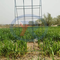 Bâton d'escalade pour plantes de jardin Piquet de support de fleurs Support de tomate Canne en acier revêtue de plastique