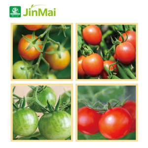 محسنات تلوين الطماطم سماد قابل للذوبان في الماء السائل لتكبير الفاكهة جودة سطح لامع تحسين زيادة الغلة - Product Image 5