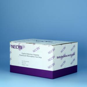 EIAV-Antikörper-Teststreifen für fluor zierende Mikros phären (Infektions anämie bei Pferden) | Schnelle stabile Erkennung - Product Image 2