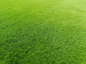 Árboles artificiales de estilo moderno para exteriores, realistas y sintéticos, vegetación para jardín y patio. - Product Image 2