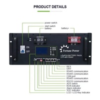Batterie au lithium LiFePO4 Fortune Power Rack montée sur support 48V 51.2V 200Ah pour stockage d'énergie domestique, garantie 5 ans, 6000 cycles