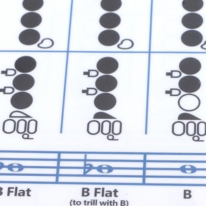 Tabla de <span class=keywords><strong>Acordes</strong></span> <span class=keywords><strong>para</strong></span> <span class=keywords><strong>Flauta</strong></span> de 28x21 cm, Ayuda Didáctica <span class=keywords><strong>para</strong></span> Principiantes, Accesorio <span class=keywords><strong>para</strong></span> Instrumento Musical - Product Image 5