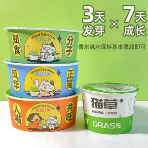 Semillas de hierba para gatos mezcladas en caja de fideos instantáneos, fáciles de cultivar, salud digestiva, snack para gatos - Product Image 1
