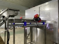 Kleine IQF Tunnelvriezer 100kg/uur Hoge-Nauwkeurigheid Snelvriesmachine voor Groente- en Fruitverwerking