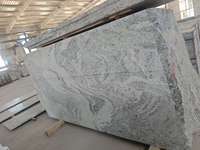 Bloc de granit blanc moderne Shandong Viscon, coupé à la machine, solution écologique complète, support technique en ligne, Villa Park