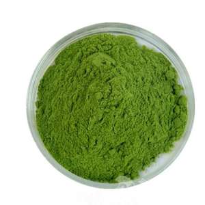 Échantillon <span class=keywords><strong>gratuit</strong></span> en gros, herbe de blé 100% naturelle de haute qualité - Product Image 1