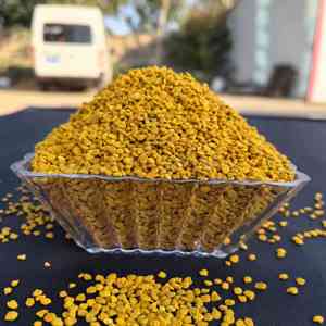 Pollen d'abeille de Schisandra naturel frais de haute qualité, matière première pure, pollen d'abeille frais, produit alimentaire biologique de qualité supérieure - Product Image 1