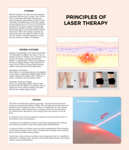 Láser de Diodo Portátil de Doble Longitud de Onda para Lipólisis Corporal, Hongos en las Uñas, Rejuvenecimiento de la Piel y Fisioterapia - Product Image 5