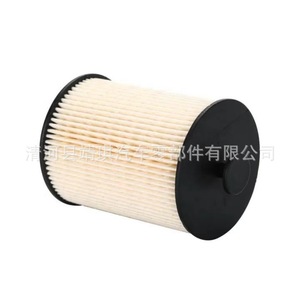 Filtro de Combustible FS19925 396-4061 396-8105 526-4870 10256-9543 para Motor Diésel Fukuda, Pieza de Repuesto - Product Image 4