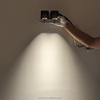 Projet personnalisé de haute qualité Double têtes boîtier carré Angle réglable profond Anti-éblouissement encastré LED vers le bas Spot Light