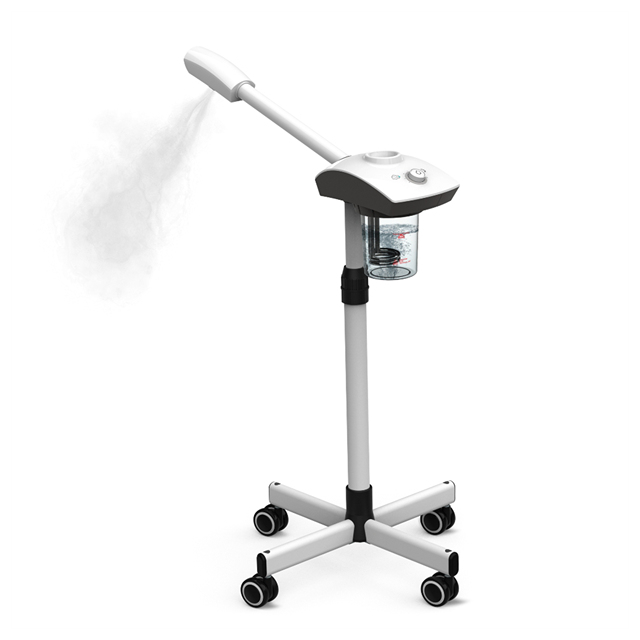 Popular Hair Beauty Salon Profession Ionic Ozone Face Facial Steamer