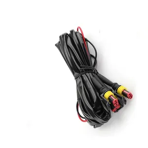 Faisceau de câblage électronique pour voiture Assemblage de câbles Faisceau de câblage automobile