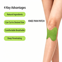 Meilleur Choix Patch Herbal pour Genou à l'Armoise, Autocollant Chauffant de Moxibustion, OEM, Faible MOQ, Respirant, Naturel, Soulagement de la Douleur pour Femmes, Hommes et Adultes
