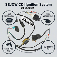 Kit Kabel Kelistrikan Lengkap SEJOW ATV Dirt Bike 50 70 90 110cc, CDI, Koil Pengapian, Stator, Rectifier, Plug and Play
