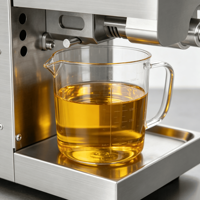 Presse à huile commerciale compacte automatique à froid, extracteur d'huile haute efficacité pour arachides et graines de tournesol, mini-presse à huile