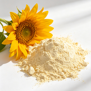 Proteína Vegetal en Polvo <span class=keywords><strong>Sin</strong></span> <span class=keywords><strong>Edulcorantes</strong></span> Artificiales, <span class=keywords><strong>Sin</strong></span> Lácteos, <span class=keywords><strong>Sin</strong></span> OMG, Vegana, <span class=keywords><strong>Sin</strong></span> Gluten, Proteína de Semilla de Calabaza - Product Image 3