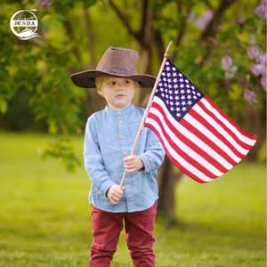 Экспресс-доставка из Китая в США авиатранспортом с услугами DHL/<span class=keywords><strong>FedEx</strong></span>/UPS, срок перевозки 3-5 дней, недорого - Product Image 3