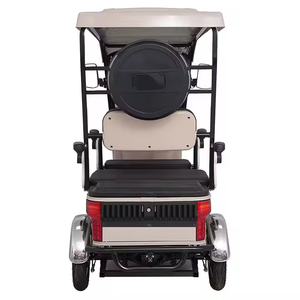 ホラデイ4人乗り800w四輪電動自転車、キャノピーとシート下収納スペース付き快適スクーター電動自転車 - Product Image 4