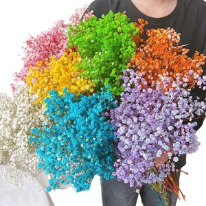 Baby Breath Dried <strong>Flowers</strong> Pampas Grass 120g/bunch Wholesale Decorative Eternal Bouquet For Graduation Christmas Easter - Product Image 5
