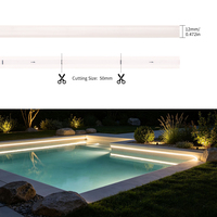 Bandes LED programmables pleine couleur IP68 24V COB WS2811 avec circuit intégré externe pour bars et KTV