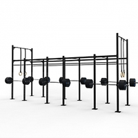 Conception personnalisée en usine de l'équipement de plein air Cross Training Fitness Rig Gym Rack CF Rig cadre d'escalade avec barres de traction