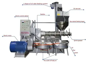 6YL-120 Senföl presse Rapsöl-Extraktion maschine