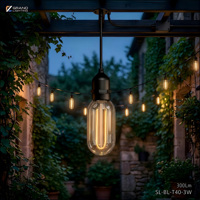 Ampoule LED à filament E26 E27 T40 3W, éclairage décoratif, AC100/230V, sans scintillement, ampoule en plastique, guirlande lumineuse intérieure/extérieure