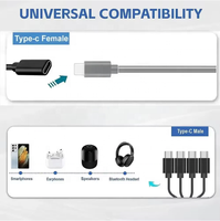Câble d'extension USB-C femelle vers mâle à 3/4/6 ports, câble répartiteur USB-C, cordon de chargeur multi-hub pour appareils USB-C et Micro USB