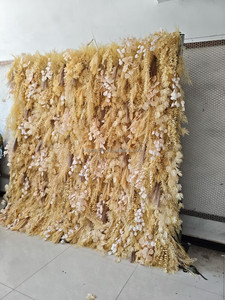 SMOOTH Nuevo Diseño 5D Pampas Grass Champagne Muro de Flores para Boda con Base de Tela Desmontable - Product Image 2