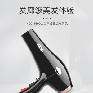 Dsp Hair <b>Dryer</b> 2000W Ac Motor Ionic Wall Mount With Concentrator Nozzle For Home Use - Product Image 4