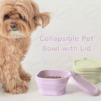 Bol d'eau pliable portable pour animaux de compagnie bol pliable en silicone pour chat et chien avec couvercle