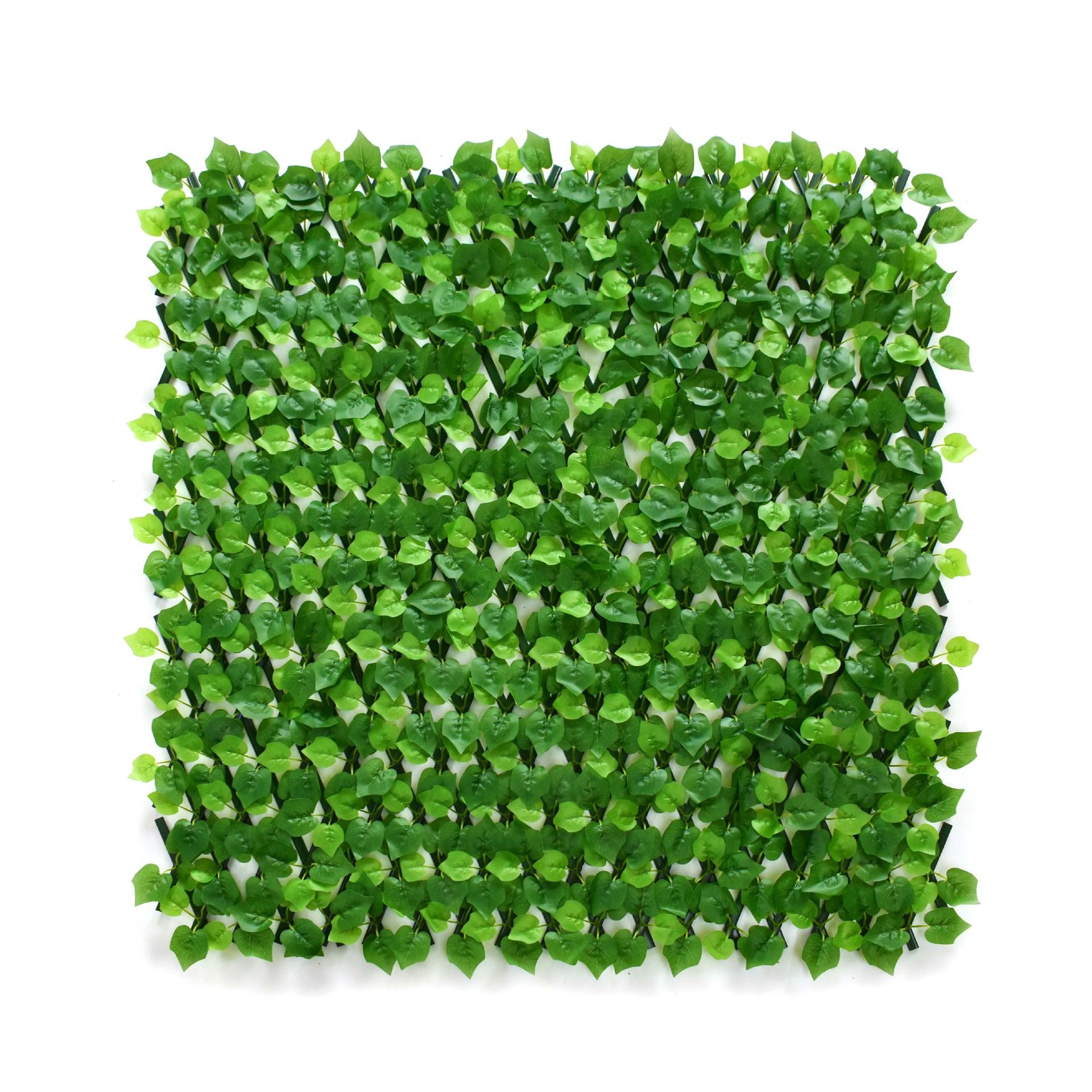 รั้ว PVC สีเขียวอ่อนลายองุ่น