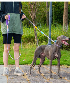 طوق وحبل للكلاب من النايلون الملون مع خطافين، حزام متعدد الوظائف بدون استخدام اليدين مع مقبض من الفوم الناعم EVA، حزام للحيوانات الأليفة مضاد للانفجار مع سلسلة P - Product Image 3