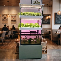 Système aquaponique vertical automatique Seedafarm pour balcon, pour la culture à domicile de légumes et de fraises avec pompe