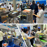 Commerciële automatische groente- en fruit snijmachines, VEGET SLICER voor restaurants, hotels en catering