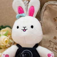 Peluches Douces en Boîte Mystère OEM ODM, Jouet de Collection Animal Mignon, Porte-clés Peluche Personnalisé pour Cadeaux, Vente en Gros et au Détail