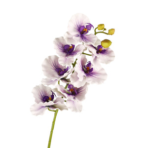 Phalaenopsis Orchid Artificial Flowers 7-<b>Head</b> Curled Edge High Simulation Wedding Decor European <b>Style</b> Home Decoration - Product Image 4