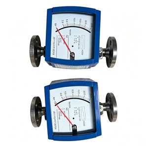 เครื่องวัดอัตราการไหลแบบปรับพื้นที่ได้ รุ่น H250 RR DN25 ของแท้ใหม่เอี่ยม พร้อมท่อโลหะ รับประกัน 1 ปี - Product Image 3