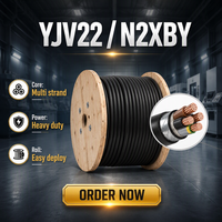 Kabel Daya Tegangan Rendah YJV22 N2XBY Tembaga Murni Multi Strand Berisolasi PVC Berlapis XLPE Tugas Berat untuk Penggunaan Bangunan dan Industri