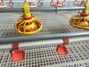 Bebedero de <span class=keywords><strong>Agua</strong></span> para Aves de Corral de 360 Grados en Venta - Product Image 2